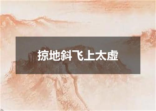 掠地斜飞上太虚