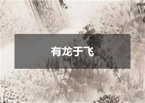 有龙于飞