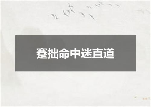 蹇拙命中迷直道