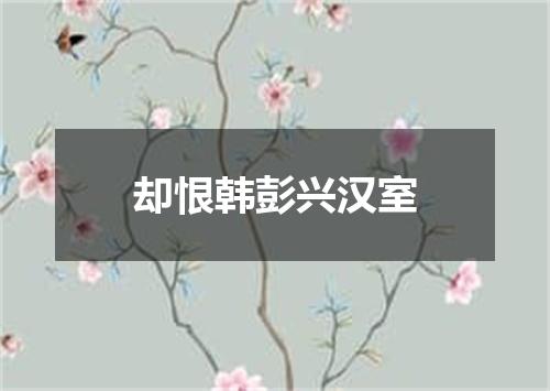 却恨韩彭兴汉室