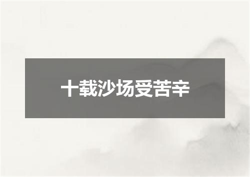 十载沙场受苦辛