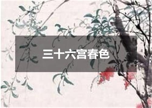 三十六宫春色