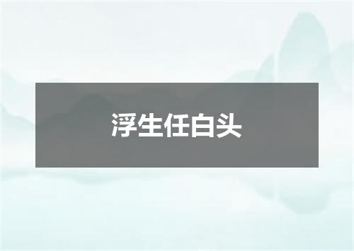 浮生任白头