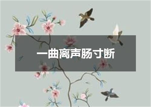 一曲离声肠寸断