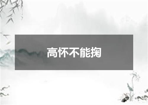 高怀不能掬