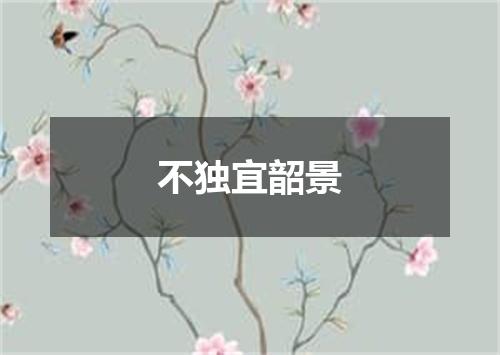 不独宜韶景