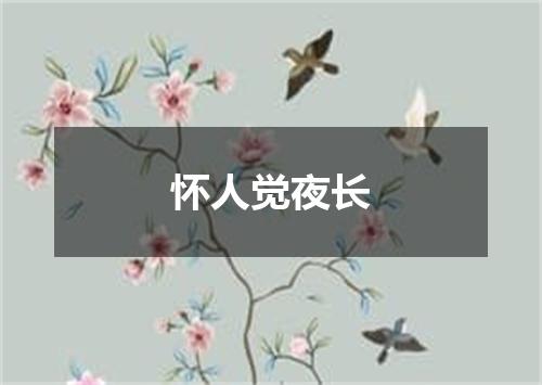 怀人觉夜长