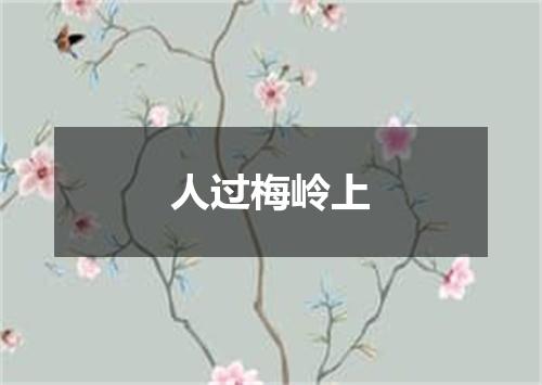 人过梅岭上