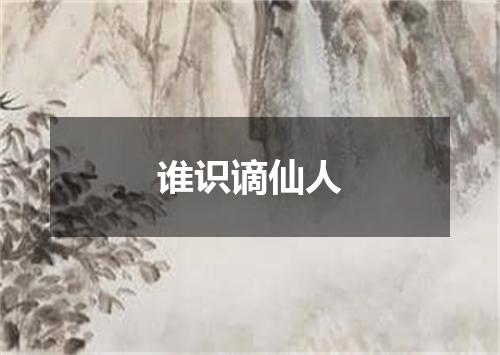 谁识谪仙人