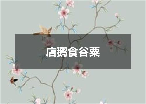 店鹅食谷粟