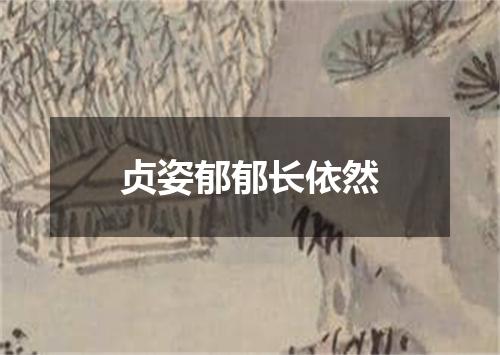 贞姿郁郁长依然