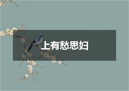 上有愁思妇