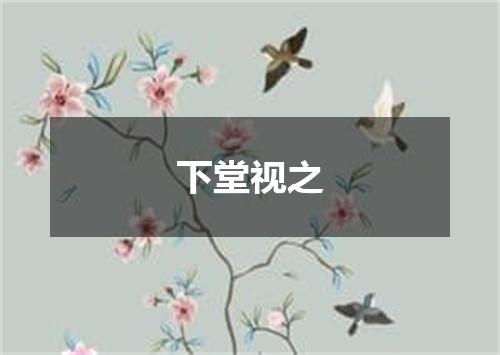 下堂视之