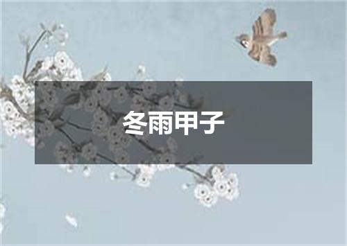 冬雨甲子