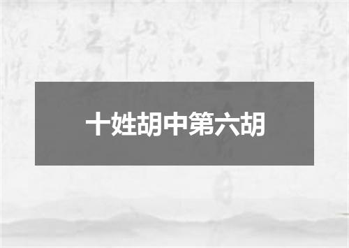 十姓胡中第六胡