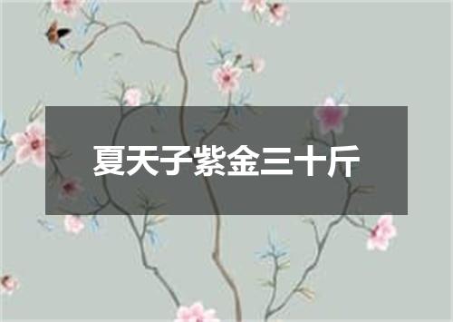 夏天子紫金三十斤
