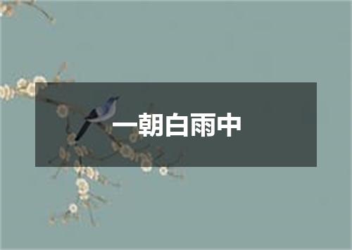 一朝白雨中