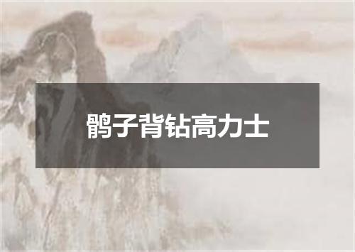鹘子背钻高力士