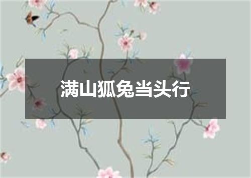 满山狐兔当头行