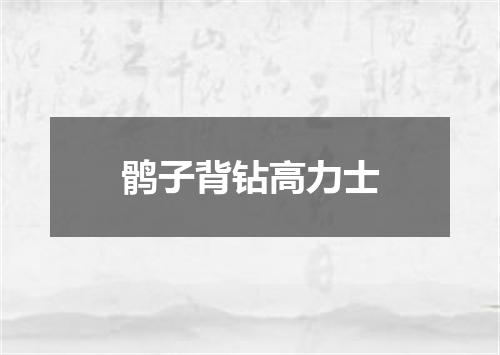 鹘子背钻高力士