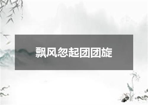 飘风忽起团团旋