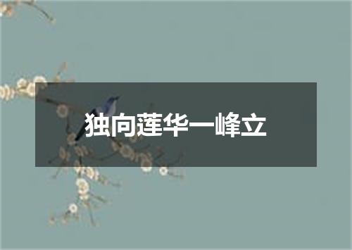 独向莲华一峰立