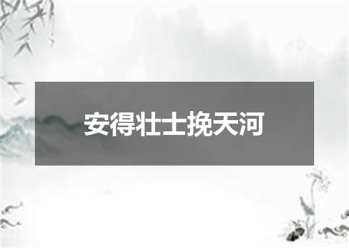 安得壮士挽天河