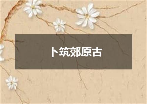 卜筑郊原古