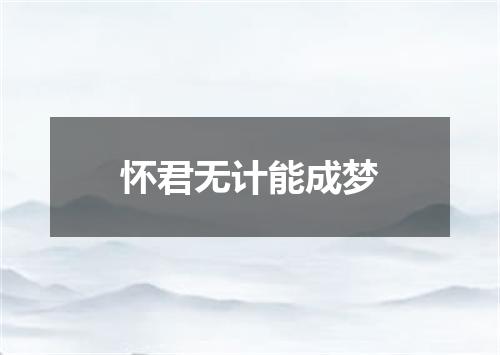 怀君无计能成梦
