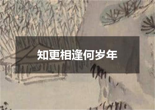 知更相逢何岁年