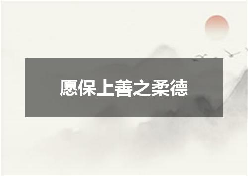 愿保上善之柔德