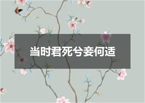 当时君死兮妾何适