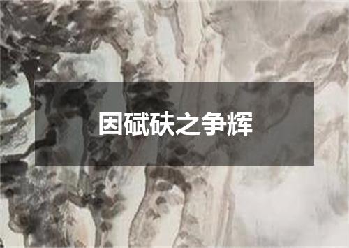 因碔砆之争辉