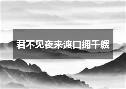 君不见夜来渡口拥千艘