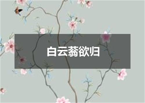 白云蓊欲归