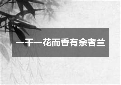 一干一花而香有余者兰