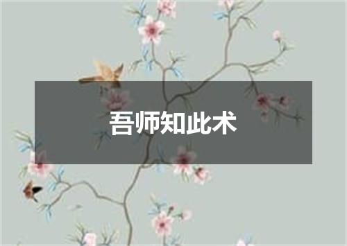 吾师知此术