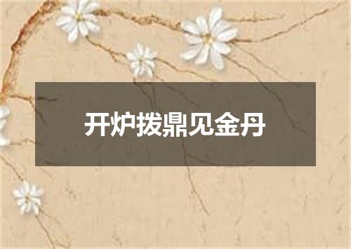 开炉拨鼎见金丹