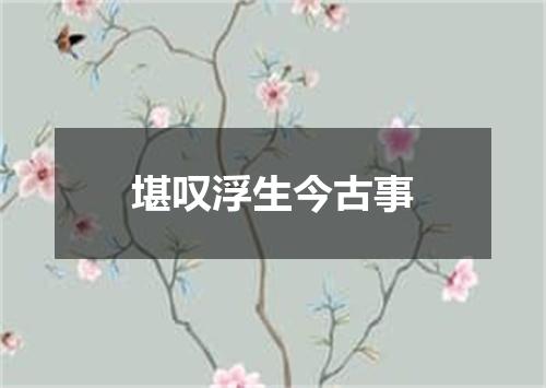 堪叹浮生今古事