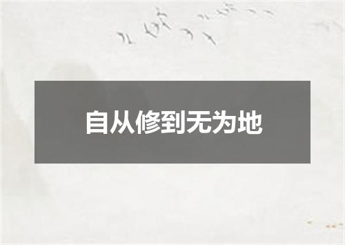 自从修到无为地