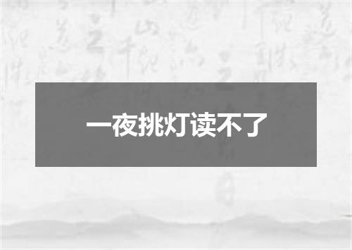 一夜挑灯读不了