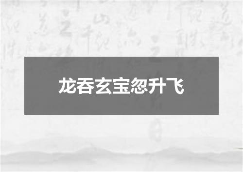 龙吞玄宝忽升飞