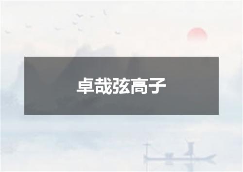 卓哉弦高子