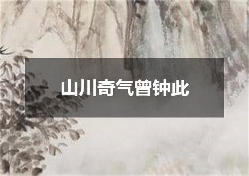 山川奇气曾钟此