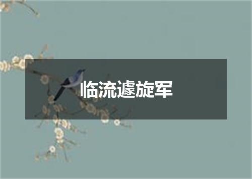 临流遽旋军