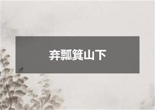 弃瓢箕山下
