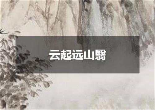 云起远山翳