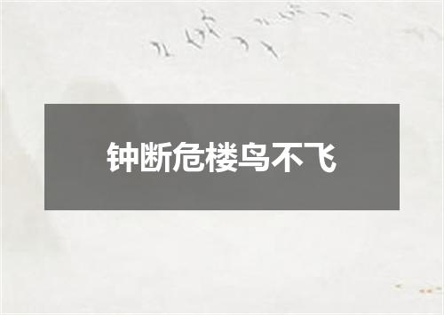 钟断危楼鸟不飞