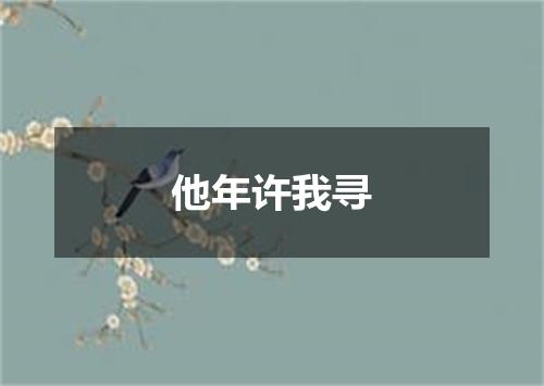 他年许我寻
