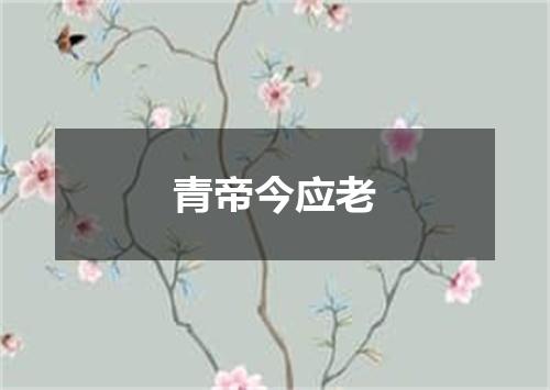 青帝今应老